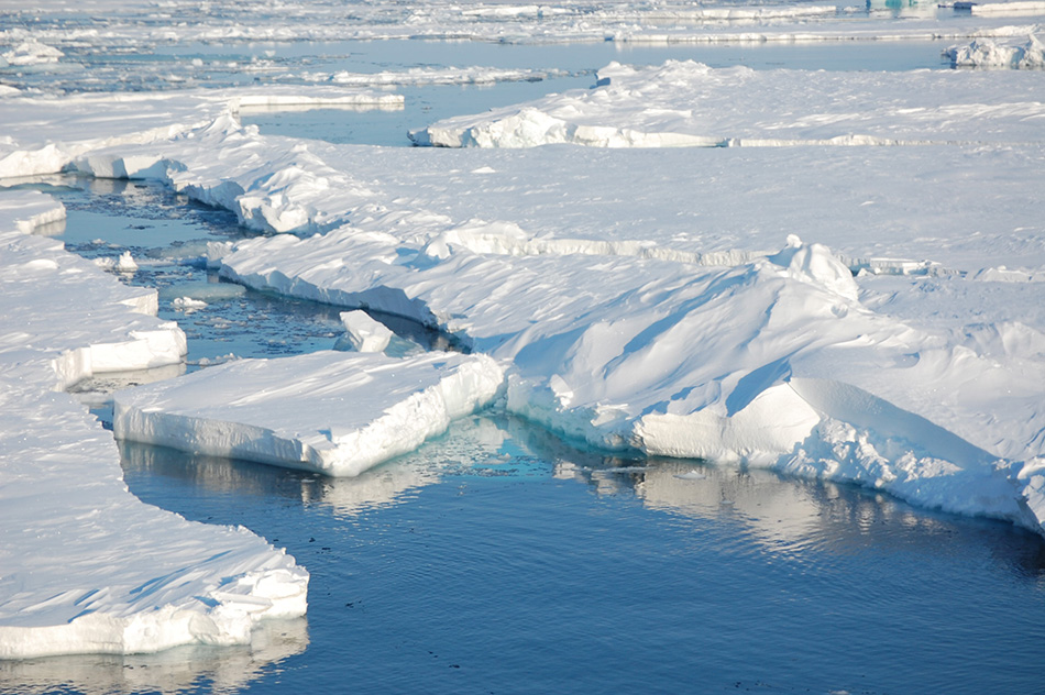 Photograph of arctic sea ice