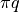 {\pi}q