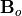 \mathbf{B}_o