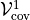 {{{\mathcal V^{1}_{\rm cov}}}}