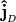 {\bf {\hat{j}}}_{_{D}}