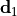 \mathbf{d}_1