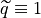 \widetilde{q}\equiv 1