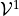 {\mathcal V^{1}_{}}