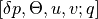 \left[ \delta p,\Theta ,u,v;q\right]