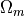 \Omega_m