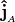 {\bf {\hat{j}}}_{_{A}}