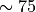 \sim 75