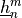 \underline{h}_n^m