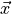 {{\smash[t]{\vec{x}}}}