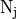 \mathrm{N_{j}}