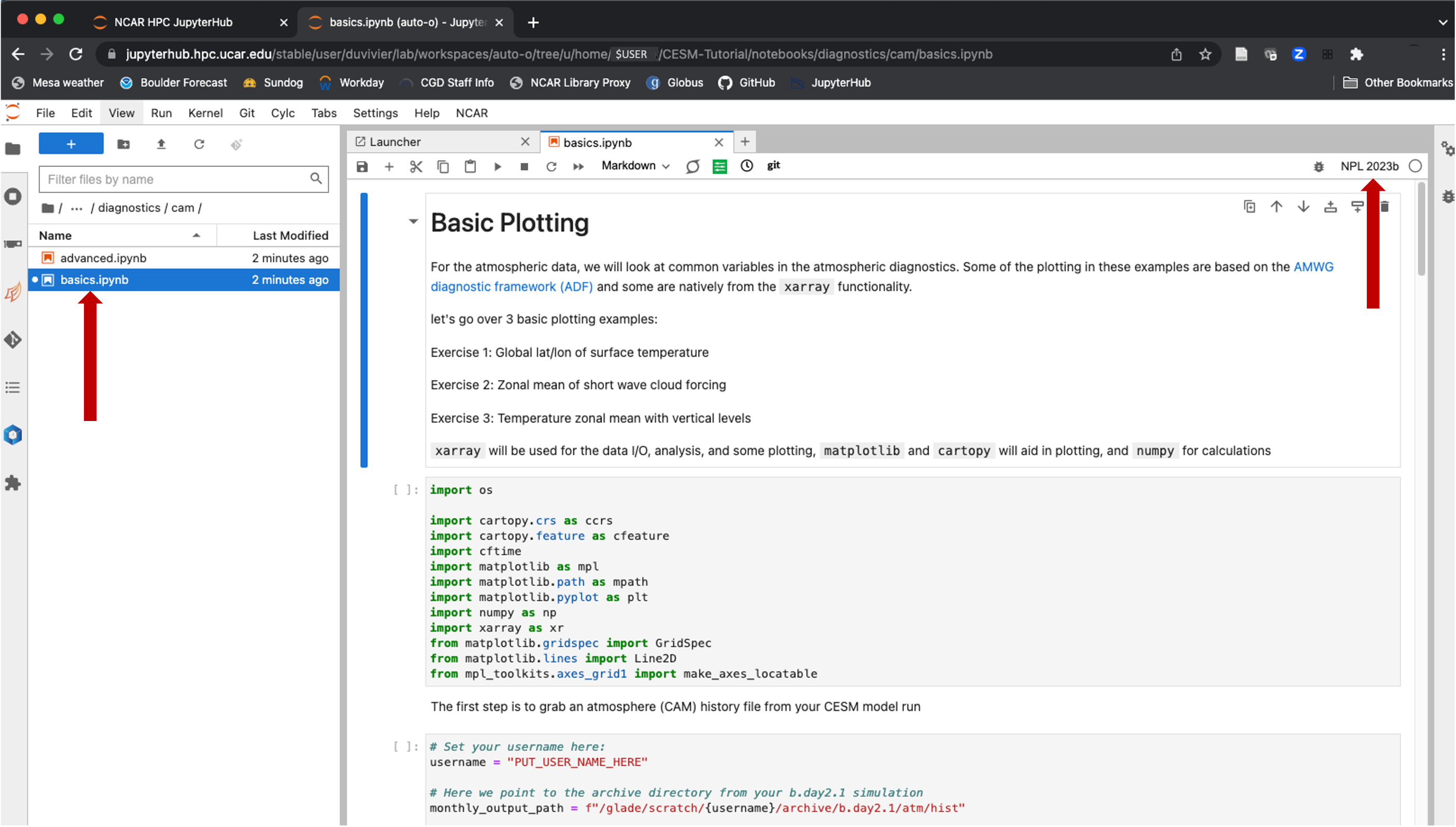 JupyterHub Open Notebook