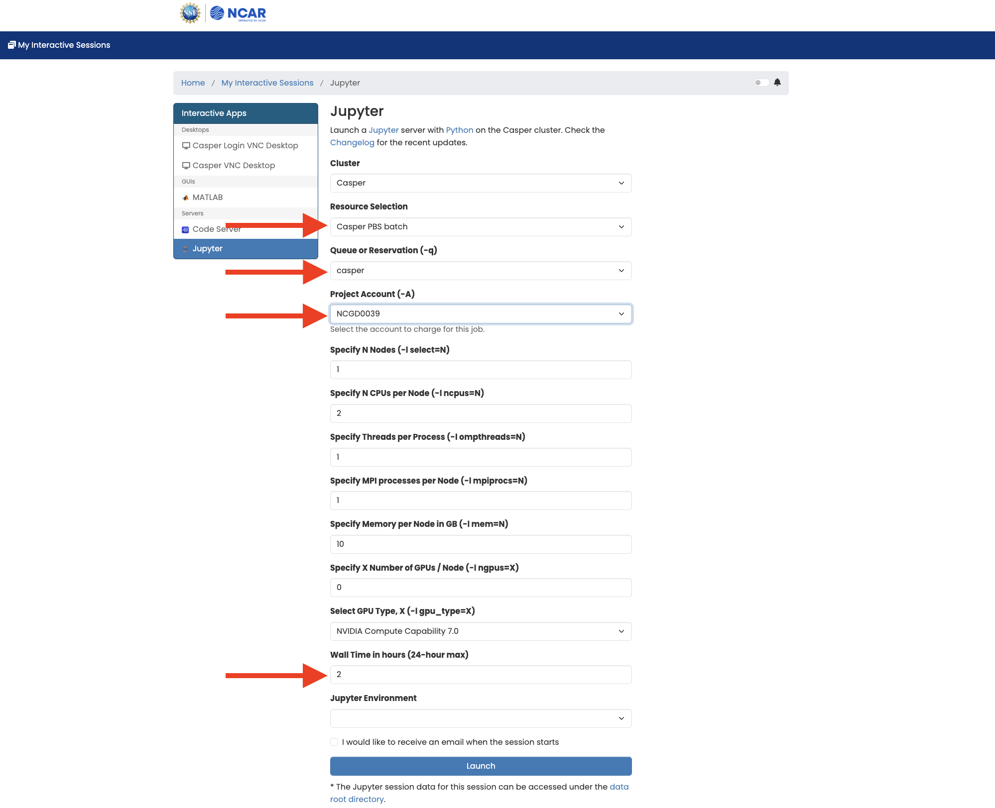 Entering options for server on JupyterHub