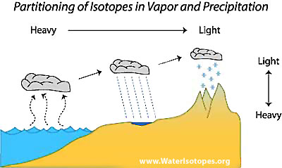 Water isotope partitioning