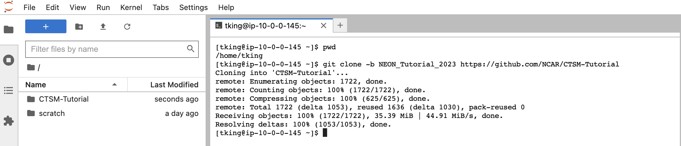 CTSM_Tutorial_git_clone.png