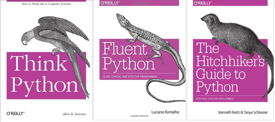 three python books